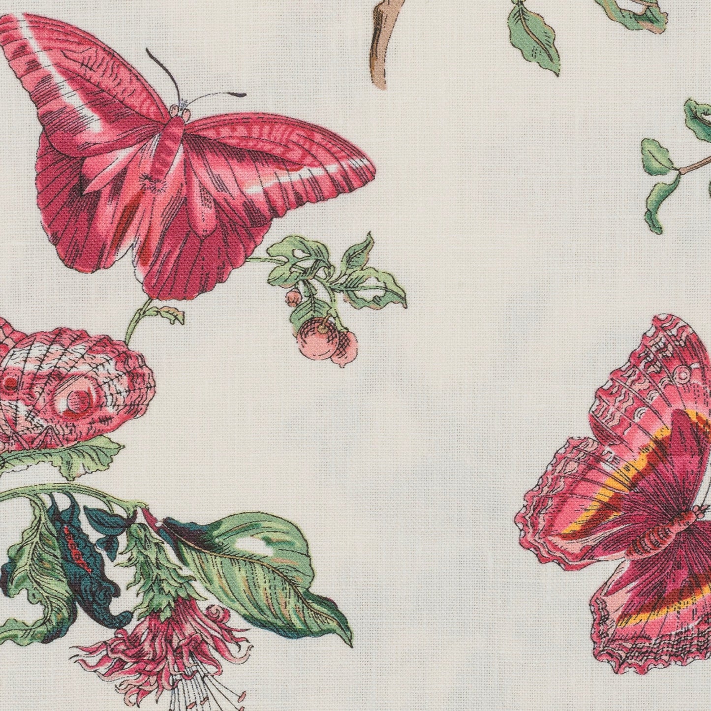 Matouk Schumacher Baudin Butterfly Tissue Box Cover - Ruby